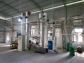 賢昌鎮鋅硒米加工廠 產業新引擎，鋪就村民致富路